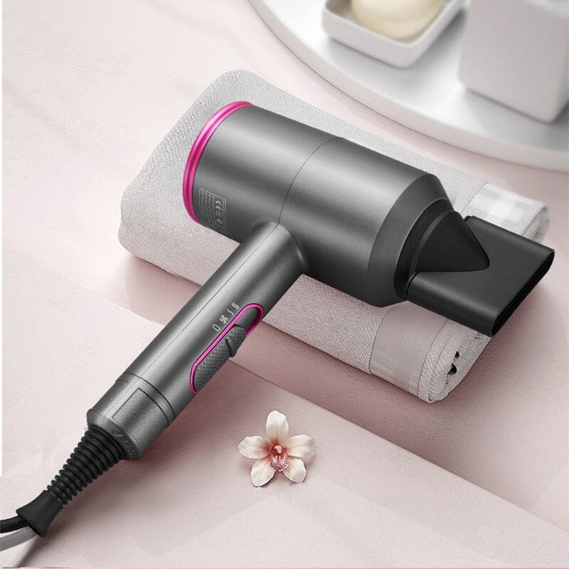 Hair Dryer - Tweety