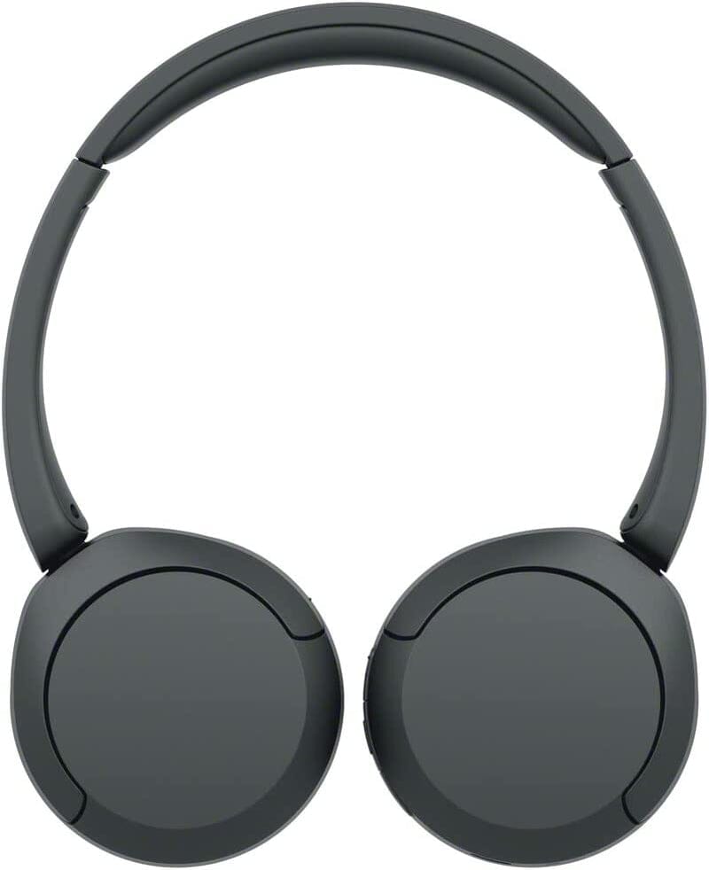 WH-CH520 Wireless Headphones Bluetooth - Tweety