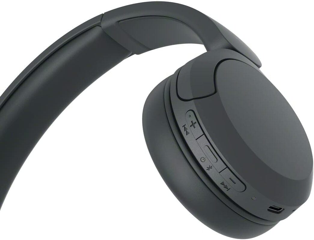 WH-CH520 Wireless Headphones Bluetooth - Tweety