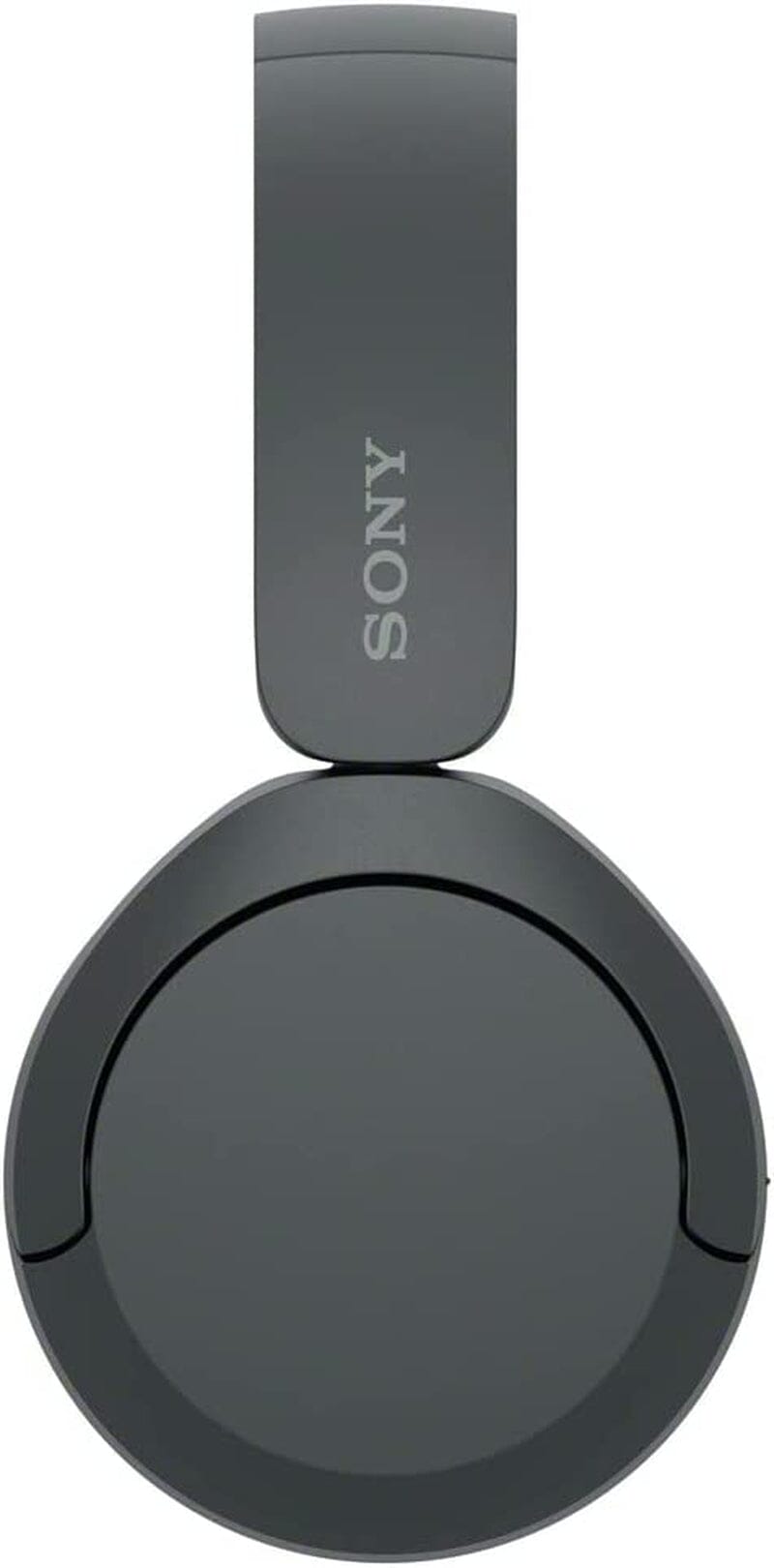 WH-CH520 Wireless Headphones Bluetooth - Tweety