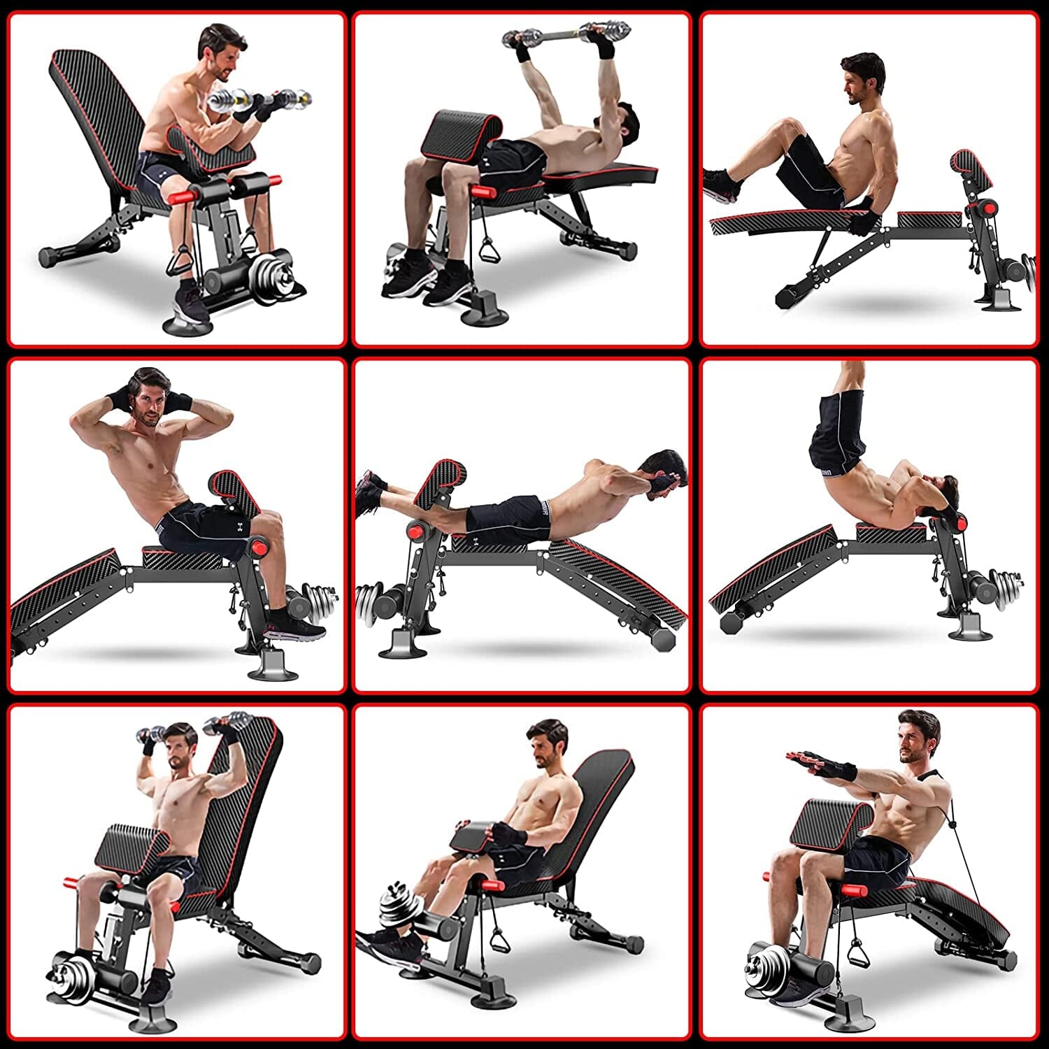 Utility Weight Benches for Full Body Workout - Tweety